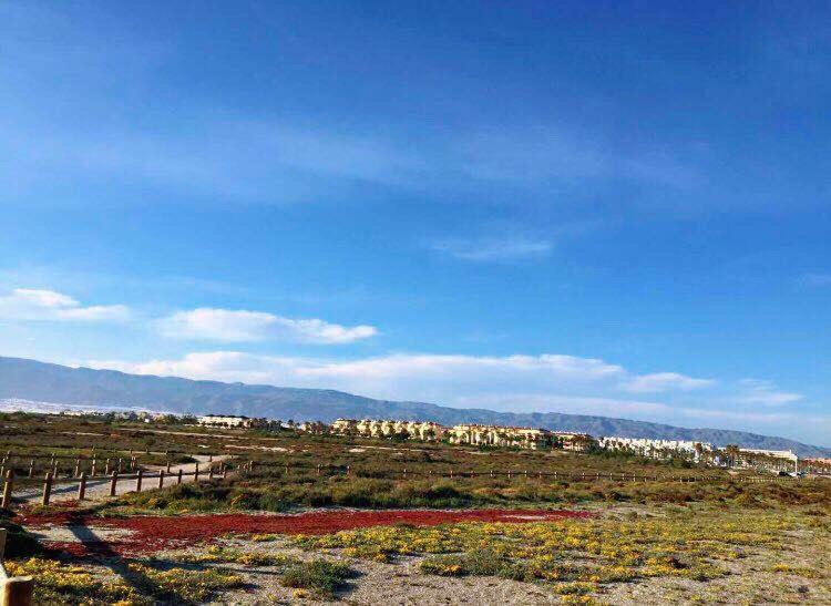 Apartamento Lujo, Primera Linea Playa, Garaje, Wifi, Piscina Climatizada روكيتاس ذي مار المظهر الخارجي الصورة